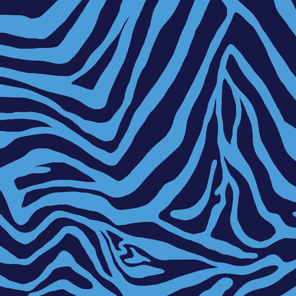 Cecilia Print Adjustable Length Long Sleeve Polo – 48932